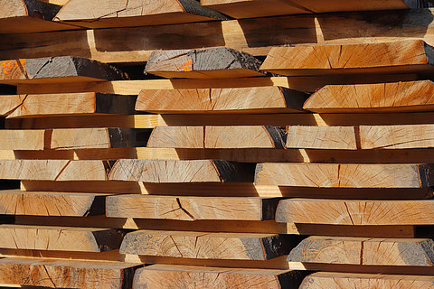 帕拉什卡·瓦達(dá) 阿邁德那加爾帕拉什地區(qū)結(jié)構(gòu)木制品與精美雕刻構(gòu)件的典范